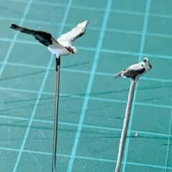 Scale model osprey birds